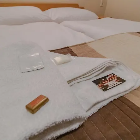 U Rizku Pensjonat Rapotín